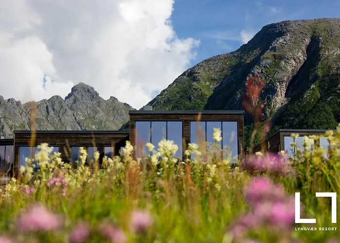 Lyngvaer Tide - No 13 * Lyngværet